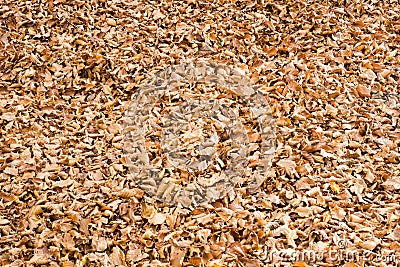 Autumn in Forca D`Acero, Abruzzo National Park, Italy Stock Photo