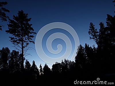 Autumn Forest dusk down night Stock Photo