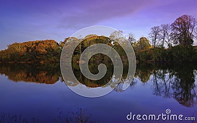 Autumn Forest Foliage Landscape over the Pond with Symmetrical Reflections on Blue Water with Water Plants Stock Photo