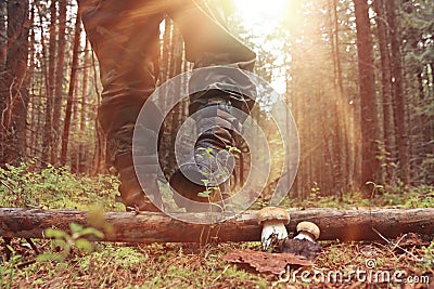 Autumn forest hike Stock Photo