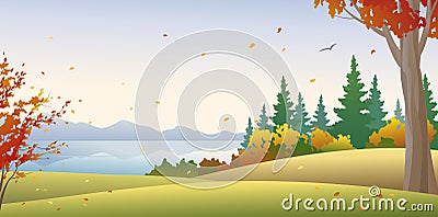 Autumn forest Vector Illustration