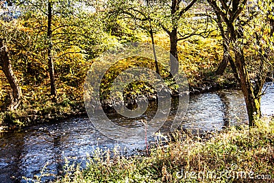 Autumn forest is intersected by a blue river Stock Photo