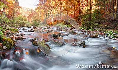 Autumn forest, mountain stream. Beautiful , rocks covered with moss. river rapids and waterfalls. Carpathian. Stock Photo