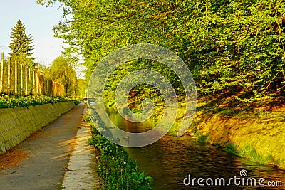 Autumn forest path river stream landscape. Forest path river stream in autumn. Autumn forest path view. Stock Photo