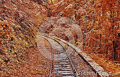 Autumn Forest Railroad Stock Photo