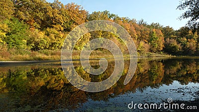 Autumn forest with reflection in the lake. Stock Photo