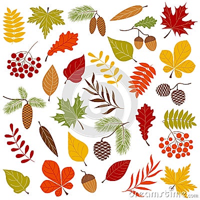 Autumn forest Vector Illustration