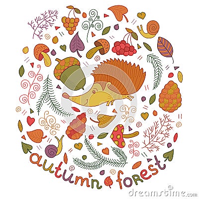 Autumn forest set in vector. Fall collection with hedgehog, leafs, branches, berries, mushrooms etc. in cartoon style Vector Illustration