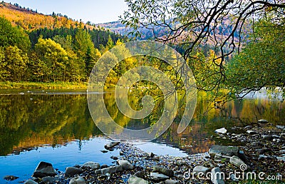 Autumn forest and sky and mountains and river Stock Photo