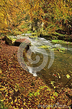 Autumn forest and slow river Stock Photo