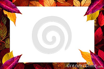 Autumn frame with colorful leaves Stock Photo
