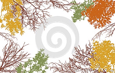 Autumn frame of deciduous branches of trees, silhouette, background. Vector illustration Vector Illustration