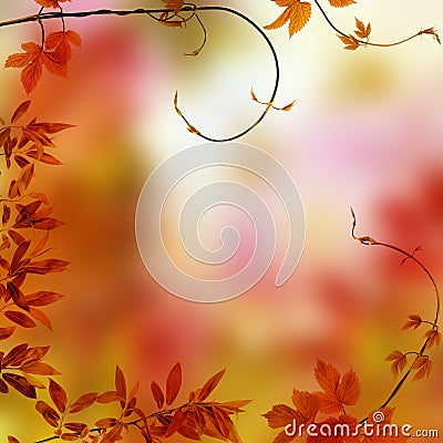 Autumn frame Stock Photo