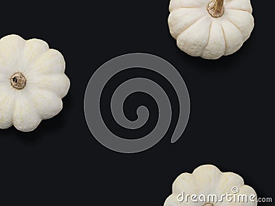 Autumn frame made of white pumpkins isolated on black background. Fall, Halloween and Thanksgiving concept. Modern Stock Photo