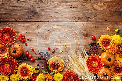 Autumn frame with orange and yellow gerbera flowers, decorative pumpkins, wheat ears.Beautiful nature composition for Thanksgiving Stock Photo