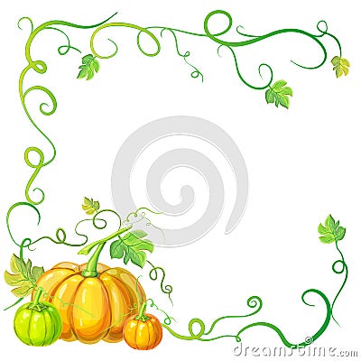 Autumn frame with pumpkins and vines, leaves and place for text. Thanksgiving, halloween or corn festival card template Vector Illustration