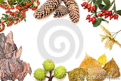 Autumn frame on white background with copy space Stock Photo