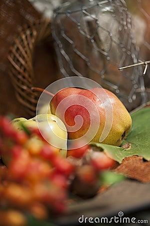 Autumn fruit closeup Stock Photo