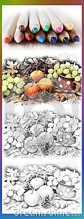 Autumn Fruits: Coloring pictures, artistic still-life with pre-drawn template, grey underpainting, vertical banner, bookmark Stock Photo