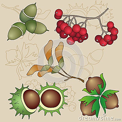 Autumn Fruits (Easy Editable Vector Set) Vector Illustration