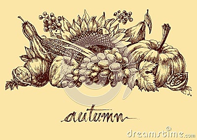 Autumn fruits and vegetables Vector Illustration