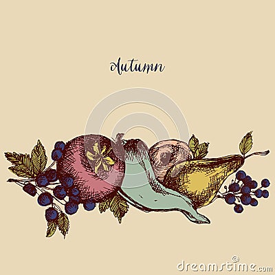 Autumn fruits and vegetables Vector Illustration