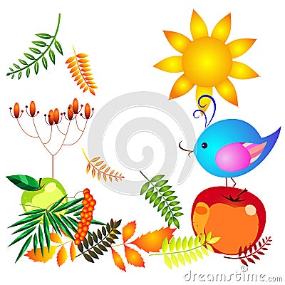 Autumn garden Vector Illustration