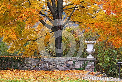 Autumn garden Stock Photo