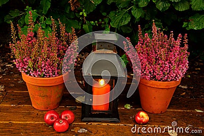 Autumn garden decor Stock Photo