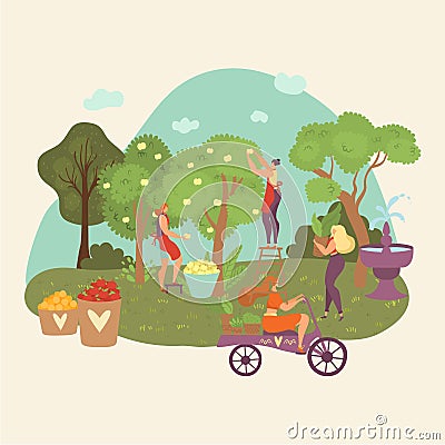 Autumn garden, fall harvesting people collect crop from trees, agriculture farming flat vector cartoon illustration Vector Illustration