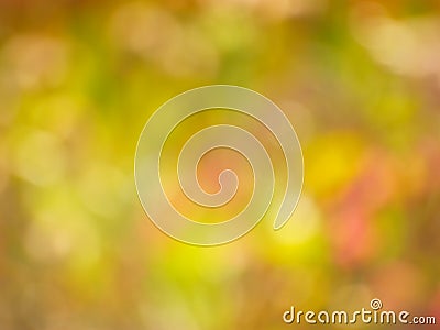 Autumn Gold Background - Blur Stock Photo Stock Photo