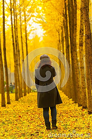 Autumn golden ginkgo trees and young woman Stock Photo