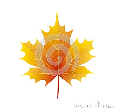 Autumn Golden Yellow Leaf Vector Illustration Logo Vector Illustration
