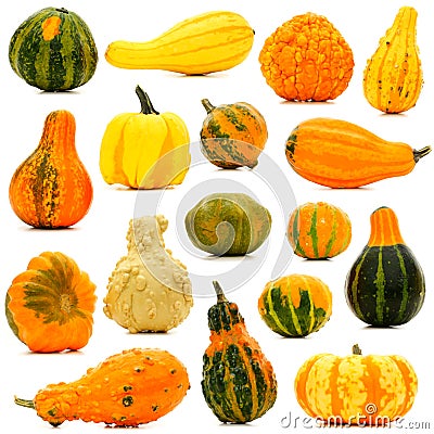 Autumn gourds isolated Stock Photo