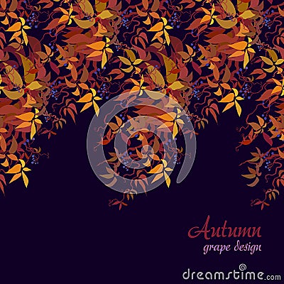 Autumn grape vine Vector Illustration