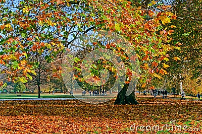 Autumn in Green Park, London Stock Photo