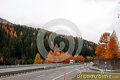 Autumn green and yellow forest over highway Stock Photo