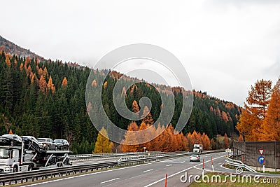 Autumn green and yellow forest over highway Stock Photo