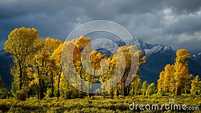 Autumn in the Gros Ventre River Valley Stock Photo