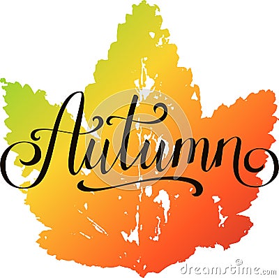 Autumn, hand written lettering on silhouette of print of maple leaf Vector Illustration