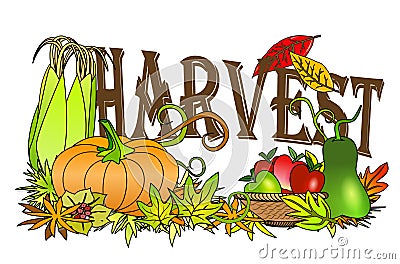 Autumn harvest Cartoon Illustration