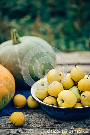Autumn harvest. Apples, pears and pumpkins on a wooden table Stock Photo