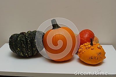 Autumn harvest of colourful pumpkin and squash variety. Stock Photo