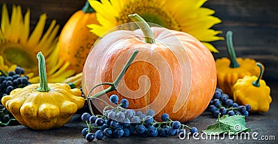 Autumn harvest Stock Photo