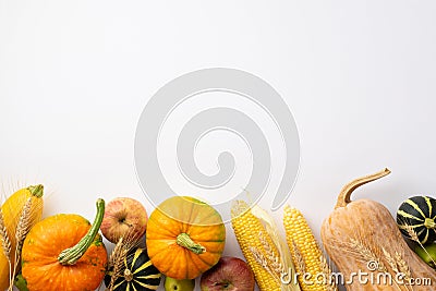 Autumn harvest concept. Top view photo of raw vegetables pumpkins gourd maize zucchini apples and wheat on isolated white Stock Photo