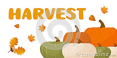 autumn harvest. different pumpkins, autumn leaves, phrase Harvest. autumn postcard Vector Illustration