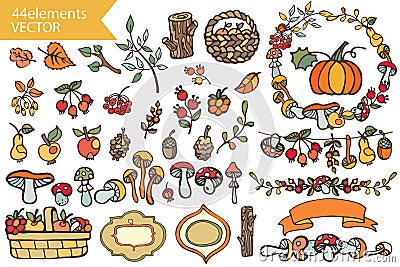 Autumn Harvest.Doodle berries,mushrooms,fruits, Vector Illustration