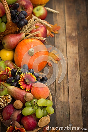 Autumn harvest - fresh fruits Stock Photo