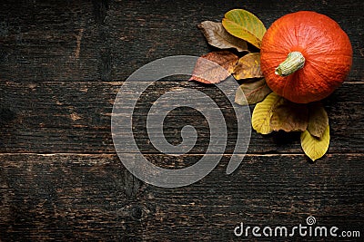 Autumn Harvest and Holiday still life. Happy Thanksgiving Background. Pumpkin and fallen leaves on dark wooden background. Stock Photo