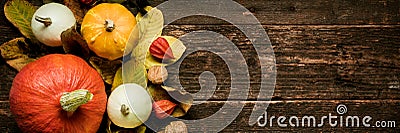 Autumn Harvest and Holiday still life. Happy Thanksgiving Banner. Selection of various pumpkins on dark wooden background. Stock Photo